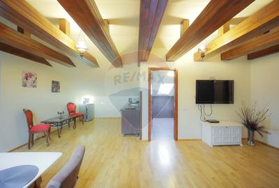 Hotel/Pensiune, de 438 mp, în Nufărul - 37