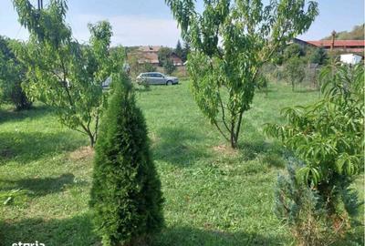 Casă cu 5 camere cu Teren 3000 Mp în Ceuaș - 7