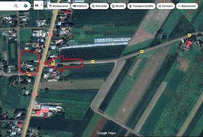 Casă cu Teren 3976 Mp în Dumbrăvița - 7