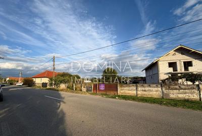 Teren 4449 mp cu utilitati, Curtisoara - la 13 km Tg. Jiu - 2