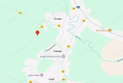 Teren extravilan Tamboesti ; ID: R2832805 - 3