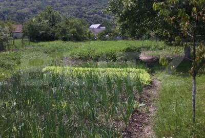 Casă cu 4 camere cu Teren 1200 Mp în Central - 4