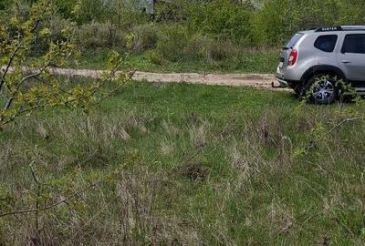 Teren de 3500 mp, în Vișan - 1