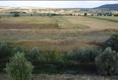 Teren Extravilan Banca, ID: R2805492 - 5