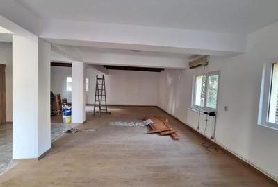 Vila 5 camere/spatiu depozitare + 2 bai de inchiriat Dobroiesti - 3