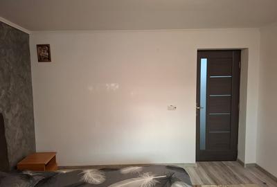 Islaz, Branesti, casa vanzare - 11