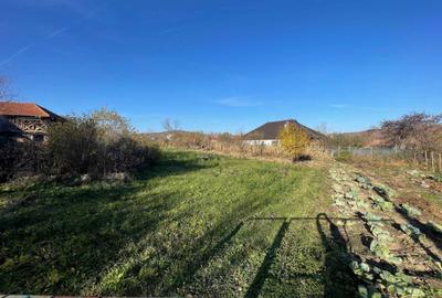 Spațiu comercial, în Mușătești - 1