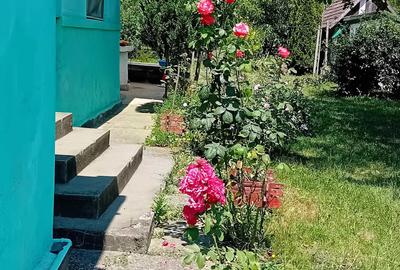 Casă cu 3 camere în Jidvei - 6