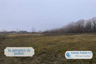 Teren de 703 mp, în Paleu