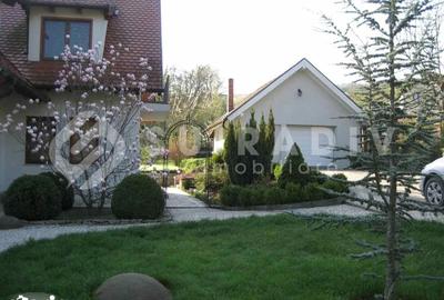 Casă cu 7 camere cu Teren 4000 Mp în Câmpului - 4