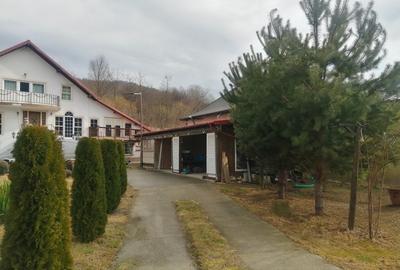 Casa P+M, Malureni -Toplita,  teren 2.798mp - 39