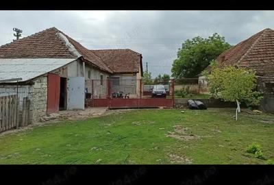 Vand casa sat Gelu jude?ul Timi? - 3