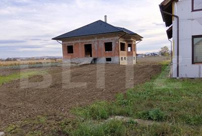 Casă cu 7 camere cu Teren 2703 Mp în Halmeu - 8