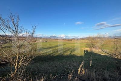 Teren extravilan 1000 mp, zona Livezile - 2