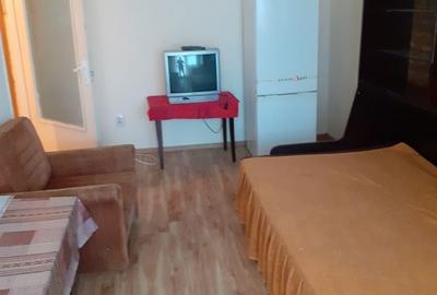 Garsonieră decomandată în Micălaca - 1