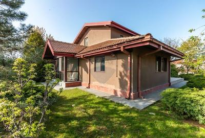 Casă individuală cu 4 camere cu Teren 1058 Mp în Snagov - 13