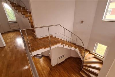 Vila deosebita Iancu Nicolae - British School - 2