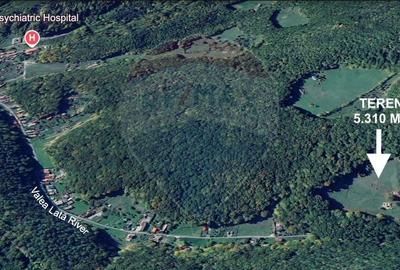 Teren de vanzare - Colonia 1 Mai, 5.310 mp, ideal pentru investitie - 11