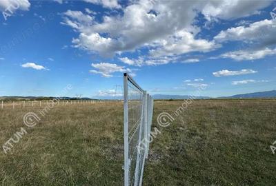 Teren de 4200 mp, în Central