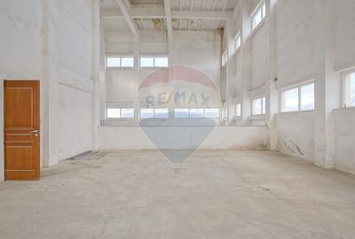 Spațiu industrial, de 494 mp, în Uzina 2 - 11