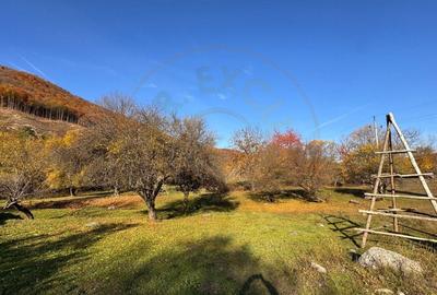 Teren Salatrucu - 7500 mp - 2