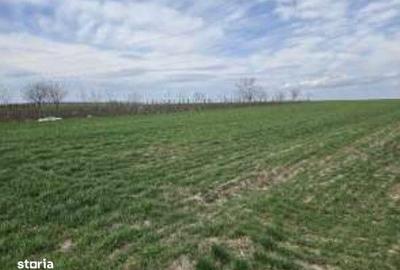 Teren de 2500 mp, în Greaca - 1