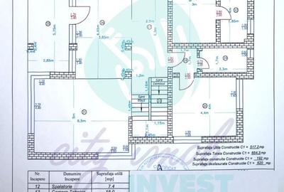 Casă individuală cu 10 camere cu Canalizare în Iancu Nicolae - 18
