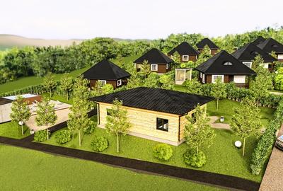 Agapia, casa de vacanta pentru investitie, randament >11% - 3