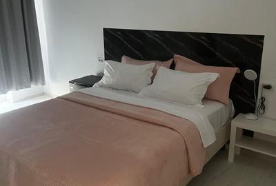 Vila deosebita de inchiriat pe malul Lacului Snagov localitatea Vladiceasca - 6