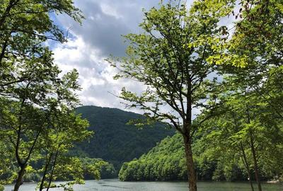 Teren de 1000 mp, în Tarnița - 3