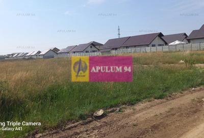 Teren, zona Dobroesti Pantelimon - 6