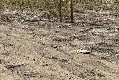 Teren de 2500 mp, în Exterior Vest - 3