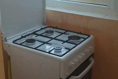 Apartament cu o Camera in Dragasani - 5