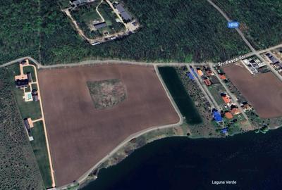 Teren de vânzare cu acces direct la lac, între pădure și apă – Moara Vlăsiei - 5