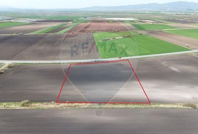 Teren agricol extravilan de 10000 mp, în Feldioara - 2