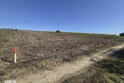 Teren de 5000 mp, în Mihai Eminescu - 2