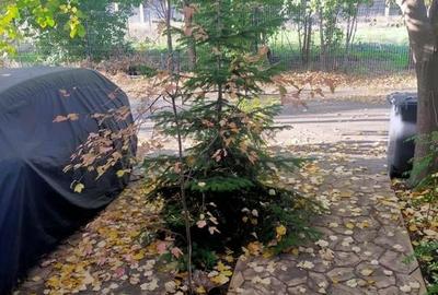 Casă modernă P+1, 4 camere, 2 băi, 2 locuri parcare – Bragadiru - 11