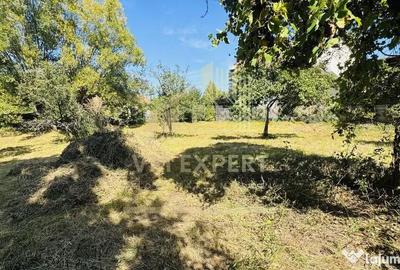 Teren de 3234 mp, în Lerești - 12