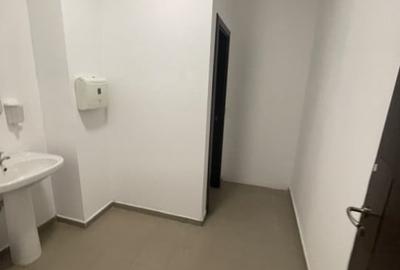 Șoseaua Alexandriei stradal, hala in suprafata de 450mp, partial compartimentata - 11