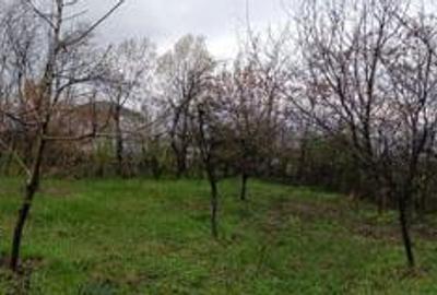 Teren de 1250 mp, în Păulești - 7
