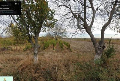 Teren de 1200 mp, în Pietroasele - 12