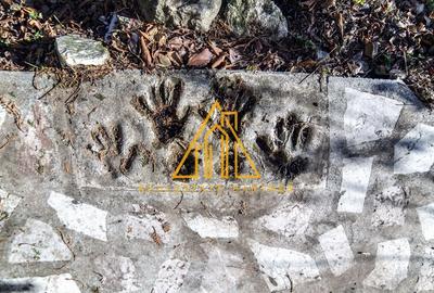 Casa superba, Adunatii Copaceni - 1