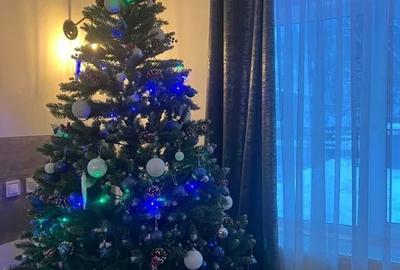 OFERTA LAST MINUTE! Pensiune 6 camere Moeciu de Sus disponibila pentru REVELION - 8