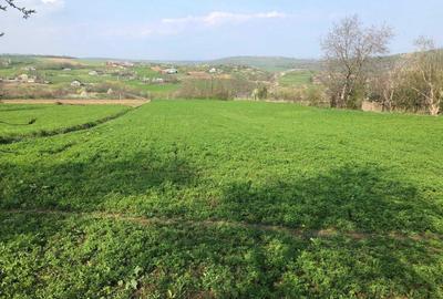 Teren de 3900 mp, în Exterior Vest - 3