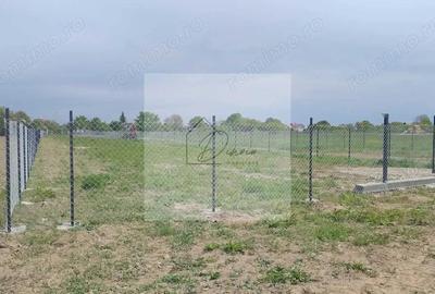 Teren intravilan 2078 mp langa padure - Piscu Ciolpani Snagov - 3