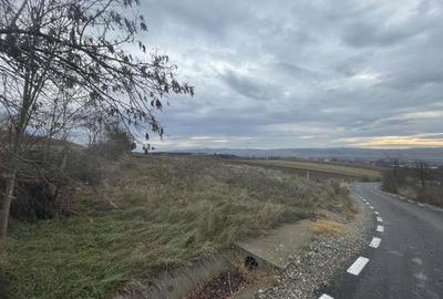 Teren de 2900 mp, în Central