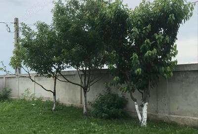 Casă cu 6 camere în Răzvani - 7
