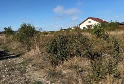Teren de 1500 mp, în Săbăreni - 3