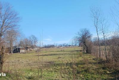 Teren de 6500 mp, în Rociu - 1