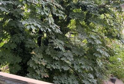 VAND APARTAMENT 2 CAMERE, UNIVERSITATE VAND APARTAMENT 2 CAMERE, UNIVERSITATE - 2